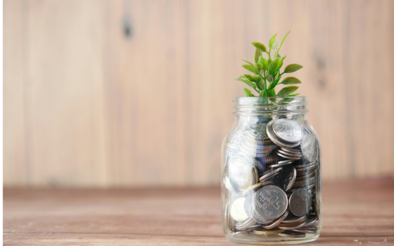 Dividend versus growth investing – which option suits you?